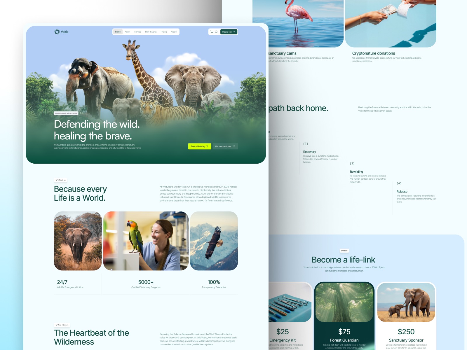 Zooxia template preview